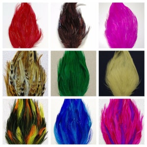 Feather HACKLE PADS in 50 Various Colors 3-6 in Height - Etsy