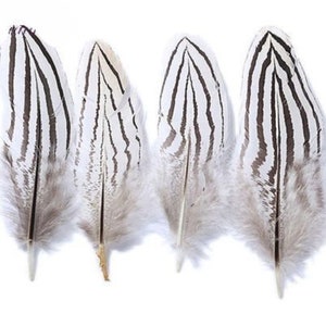 Red Cooper Fire Astuce Pheasant Tail Feathers Craft Chapeau Arts Décorations Mariage UK Red Cooper Fire Astuce Pheasant Tail Feathers Craft Chapeau Arts Décorations Mariage UK