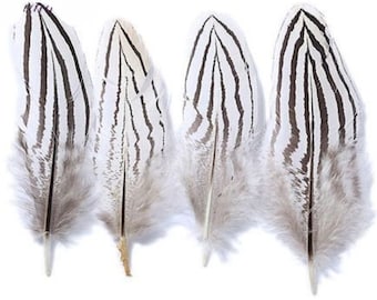 10 Pcs SILVER PHEASANT Natural Feathers 10-16" Craft/Art/Bridal/Halloween/Pads 
