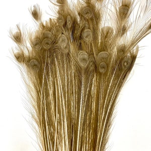 CAMEO Dark PEACOCK Federn 35 &#39;&#39;-55 &#39;&#39; (nicht gebleicht / sehr selten) Lang für Halloween Brautparty Hochzeit Mittelstücke Handwerk Kostüm