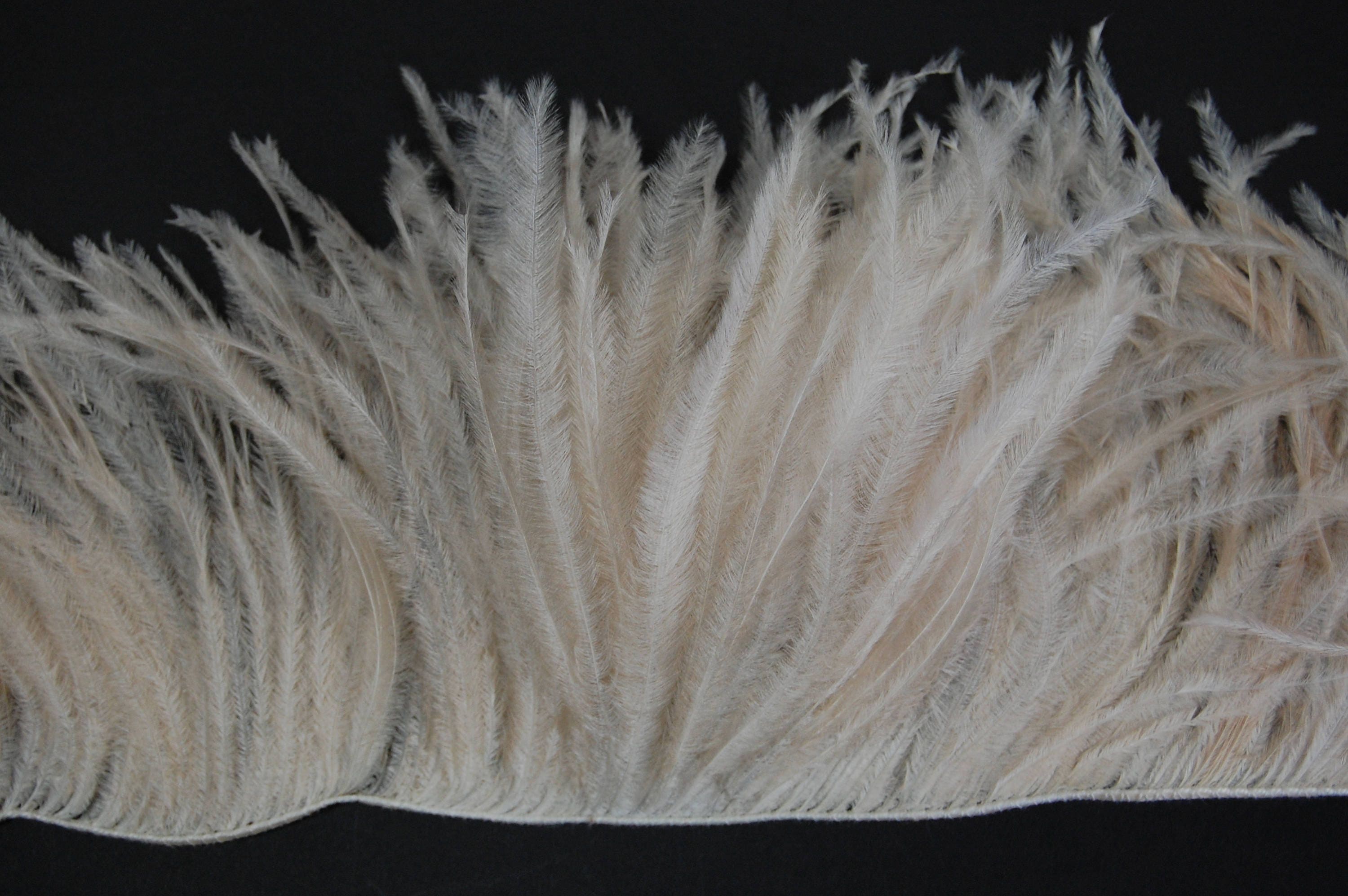 12" Strip of OSTRICH Feather Fringe - BEIGE (4"-6" In Height)