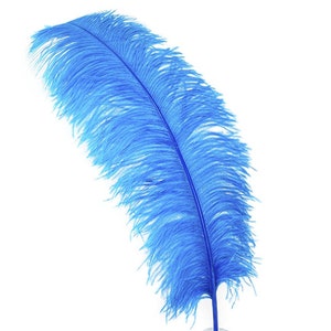 TURQUOISE Ostrich Feather Plumes 10"-18" for Centerpieces Costumes Craft Home Decor Design DIY