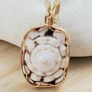 May include: Gold wire wrapped pendant featuring a white and brown seashell with a spiral pattern.