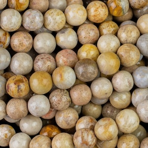 Natural fossil coral, High Quality in  round, 4-14mm AAA Quality AAA Quality  Smooth Gemstone Beads