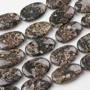 Natural Freeform Fossil Coral Beads - Approximately 20mm by 32mm - About 12 beads - Full Strand 15.5&quot; Gemstone Beads