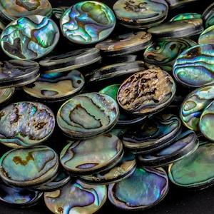 May include: A close-up of a pile of oval-shaped abalone shell beads. The beads are iridescent with shades of green, blue, and purple.