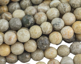 Coral fósil natural, de alta calidad, facetado redondo, 4 mm, 6 mm, 8 mm, 10 mm, 12 mm, 14 mm - Hilo completo de 15,5 pulgadas.