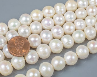 11-13mm Large Hole  Jumbo Freshwater Pearl, 8 Inch Strand Big Hole Beads