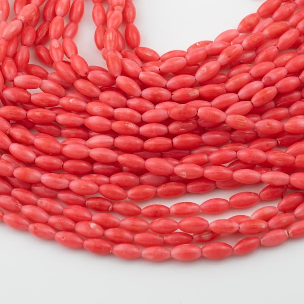 Bamboo Coral Barrel High Quality 4x8mm Full Strand 16" Gemstone Beads