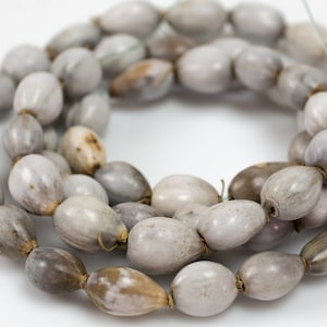 May include: A strand of grey and brown seed beads, strung together on a thin white cord. The beads are oval-shaped and have a natural, slightly rough texture.