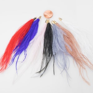 May include: Seven ostrich feather plumes in various colors, including red, blue, white, pink, black, gray, and brown. The feathers are arranged in a semi-circle on a white background.
