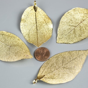 May include: Four gold-plated leaf charms featuring a detailed vein pattern. Each leaf charm has a loop at the top for attaching to jewellery or other crafts.