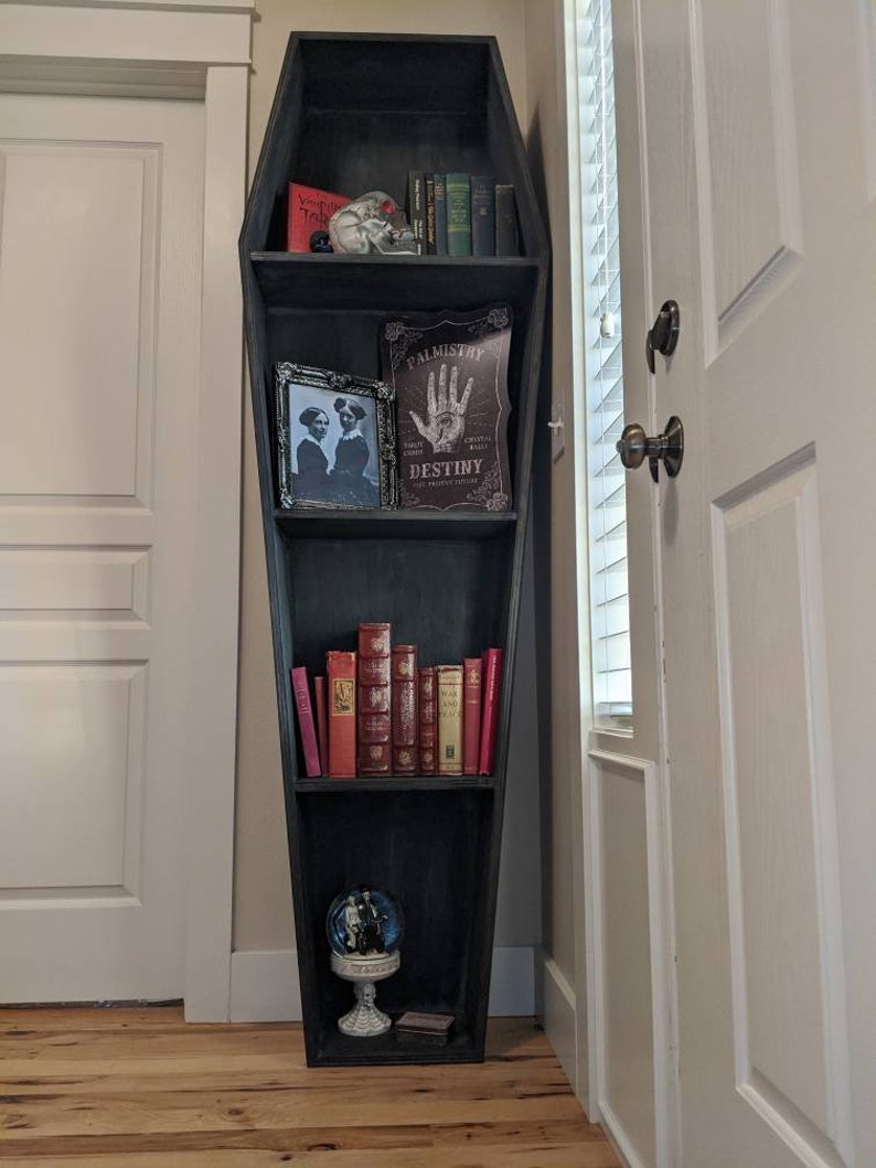 Unique Coffin Bookcase 