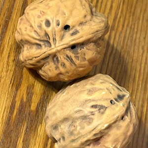 May include: Two ceramic walnut-shaped salt and pepper shakers. The shakers are a light brown colour with a textured surface, and each has three small holes on top. They are resting on a wooden surface.