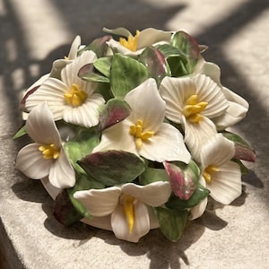 Royal Adderley Capodimote Floral Trillum Bouquet England 5.5”