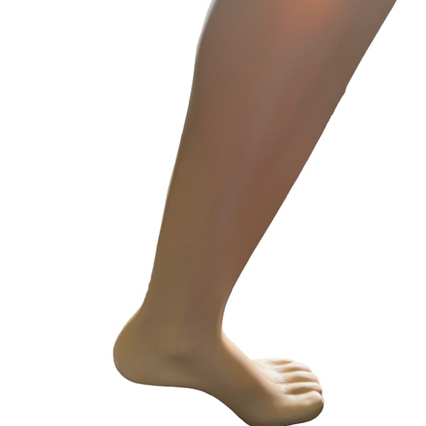 Mannequin Leg For Display – Mannequin Leg, Female Standing Leg, Fleshtone, Plastic, Display Mannequin Leg