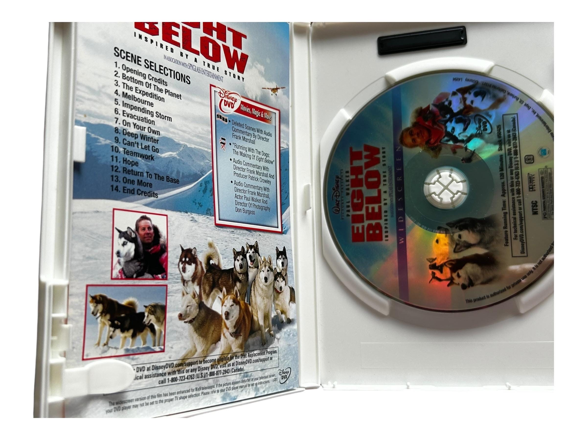 Eight Below, Paul Walker DVD 2006 Region 1 - Etsy Israel, image size:2400x1800