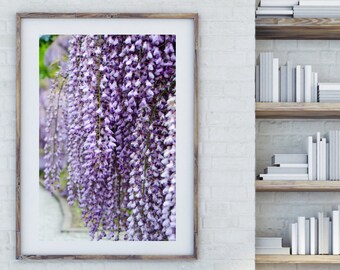 Wisteria Purple Flower Photography, Large Format Wall Art Print, Nature Flower Photography, Flower Canvas Wall Decor, Longwood Gardens