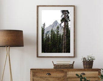 Large Format Banff National Park Landscape Photography, Mount Shark Print, Travel Photography, Mount Assiniboine Trail, Alberta, Wilderness
