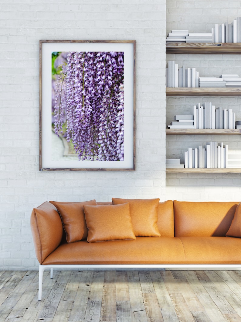 Wisteria Purple Flower Photography Large Format Wall Art Etsy