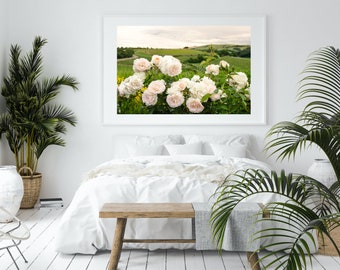 Vineyard Landscape Photography, Large Wall Art Print, Italy Photography, Travel Photography, Pink Flower, Tuscany Italy Wine Country