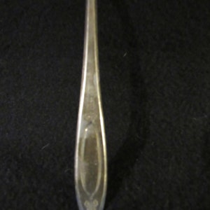 May include: A silver teaspoon with a decorative design on the handle.