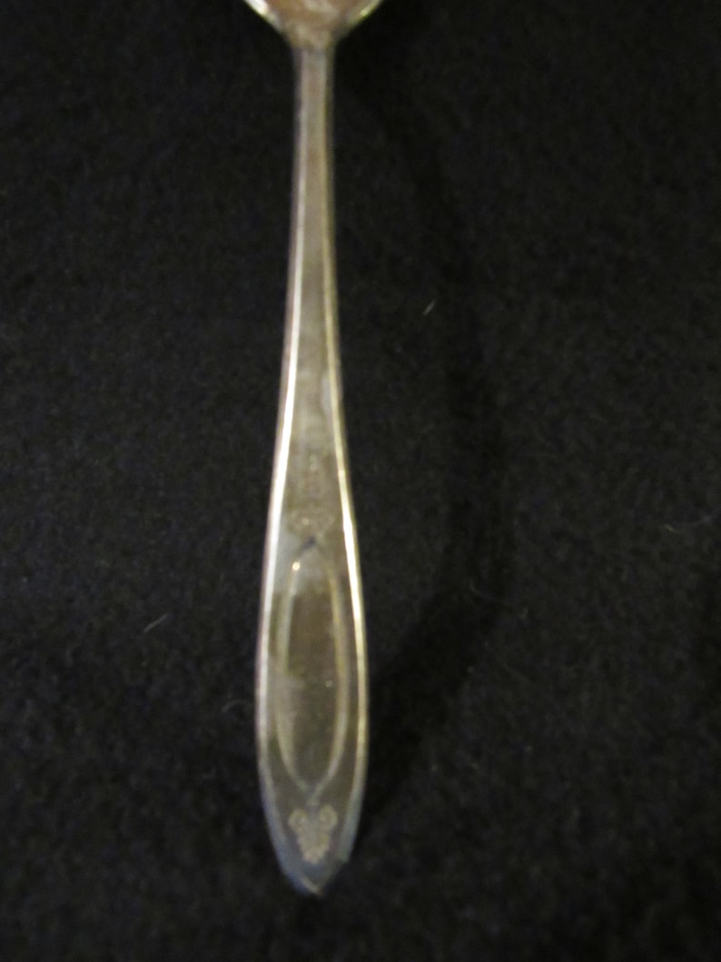 May include: A silver teaspoon with a decorative design on the handle.