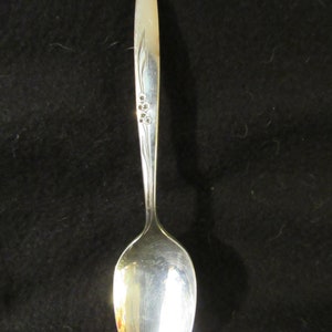 May include: A silver teaspoon with a floral design on the handle. The spoon has a rounded bowl and a long, slender handle.