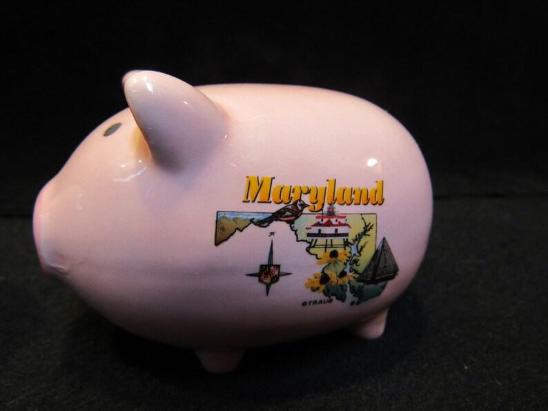 May include: A light pink ceramic piggy bank with a Maryland design. The bank features a map of Maryland with a bird, flowers, and a sailboat. The word "Maryland" is printed in yellow.
