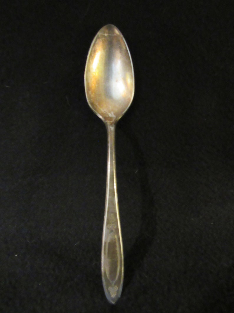 May include: A silver teaspoon with a rounded bowl and a long, slender handle. The handle has a decorative design.