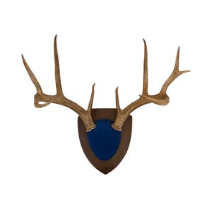 Vintage Stag Deer Head 10 Point Buck Mounted Blue Velvet Wall Hanging