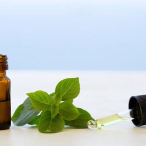 Pure Organic High Quality Therapeutic Grade Basil Essential Oil image 7
