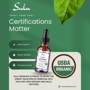 Pure Organic High Quality Therapeutic Grade Basil Essential Oil image 5