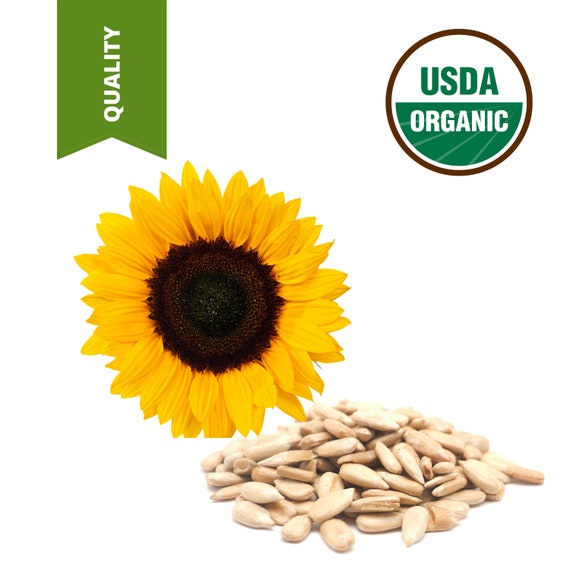 Gallon Sunflower Seeds