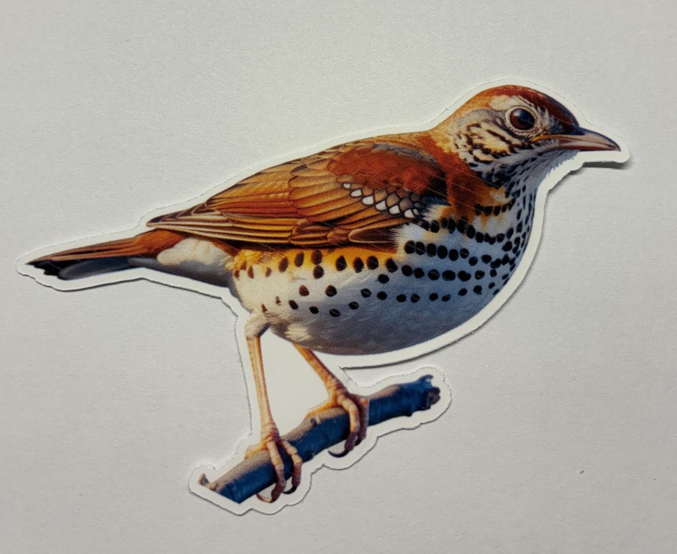 Thrush Bird Sticker Wood Thrush Large Bird Sticker. Bird Sticker, Birds of America Sticker ...