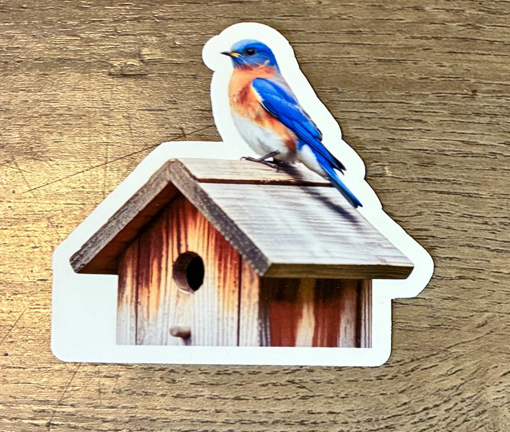 Eastern Bluebird Sticker, Bird Sticker, Birdhouse Bluebird Sticker, Mo ...