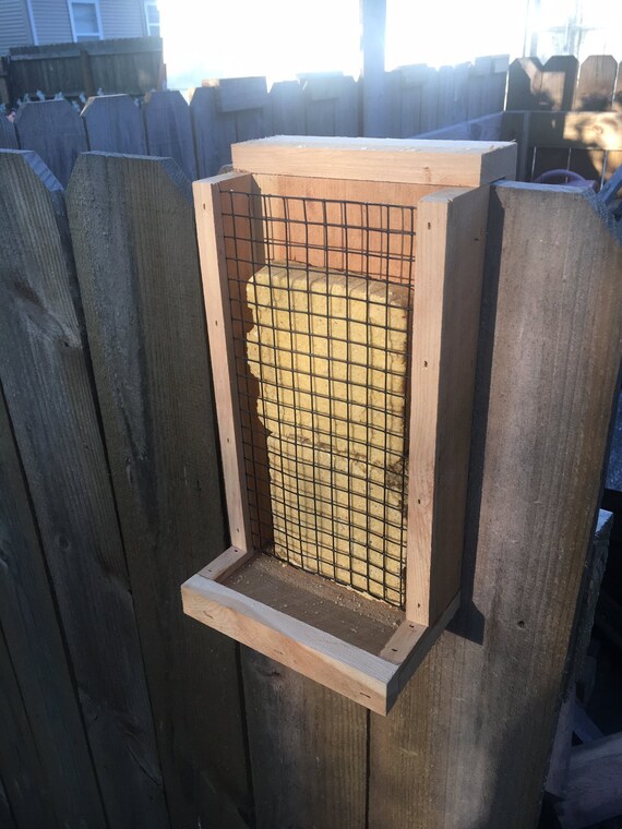 Cedar Wood Handmade Double Suet Bird Feeder Hangs Over Privacy Etsy