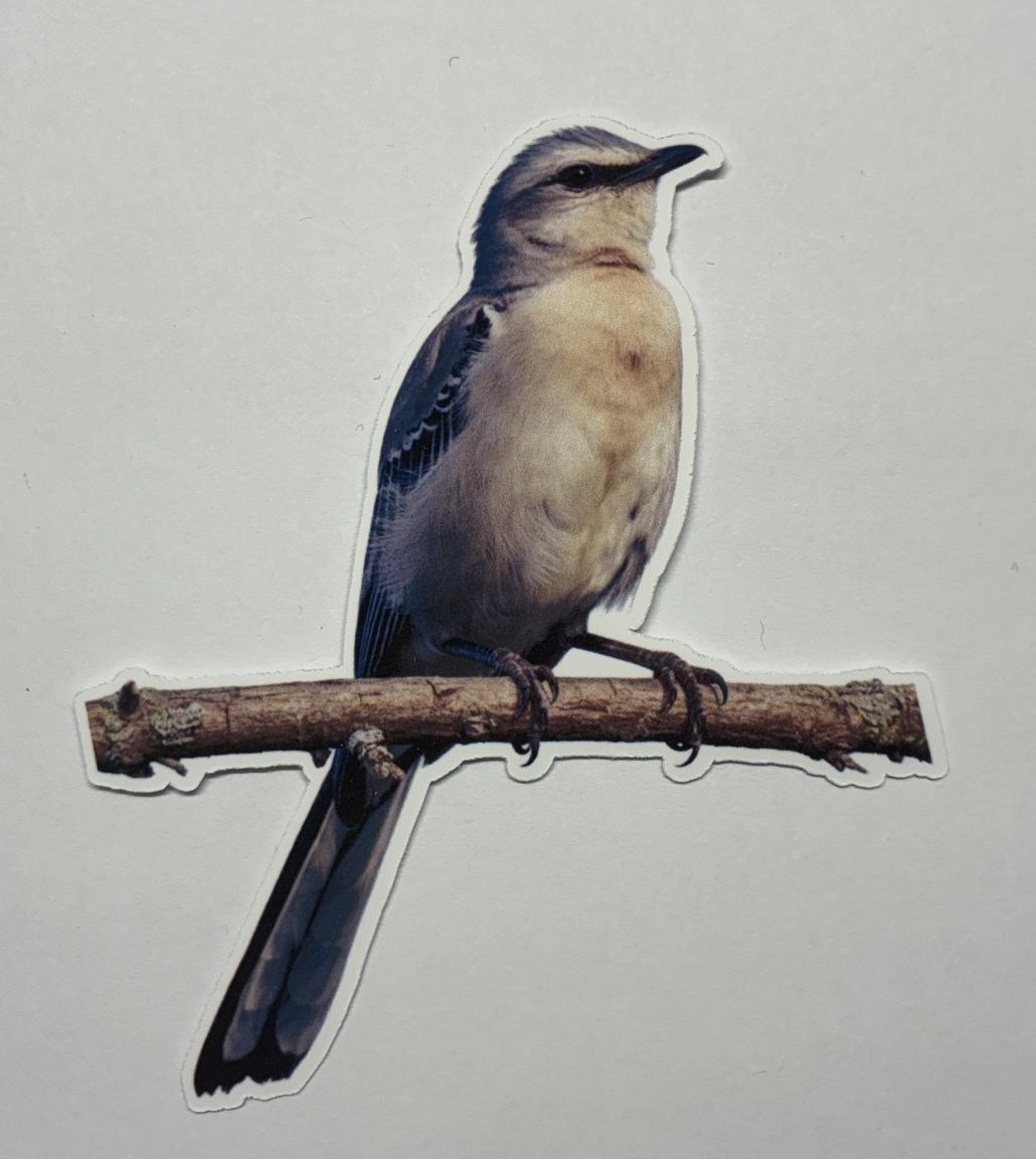 Mocking Bird Sticker State Bird Sticker Large Mocking Bird Sticker ...