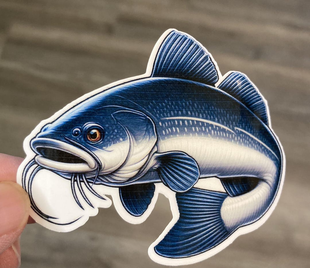 Fish Sticker Channel Catfish Sticker Catfish Sticker Fish of Iowa ...