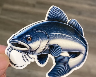 Fish Sticker Channel Catfish Sticker  Catfish Sticker Fish of Iowa Sticker Blue Catfish Sticker