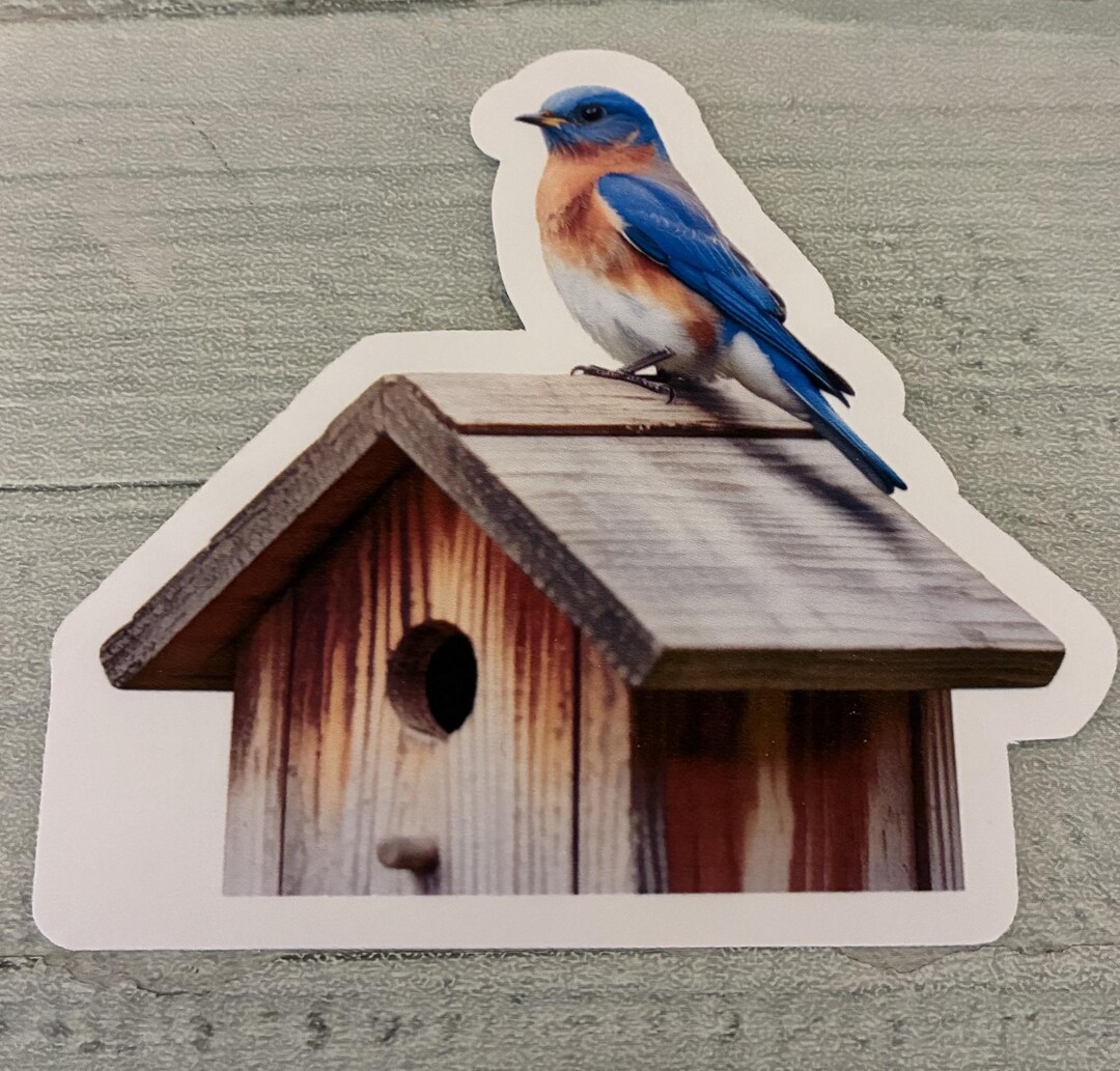 Eastern Bluebird Sticker, Bird Sticker, Birdhouse Bluebird Sticker, Mo ...