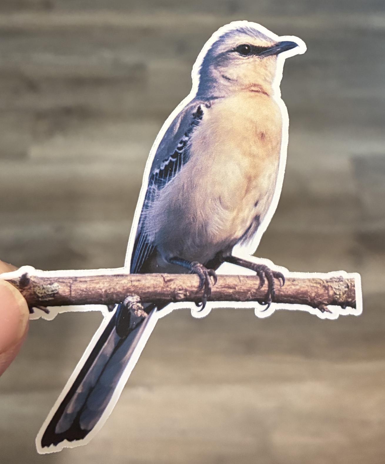 Mocking Bird Sticker State Bird Sticker Large Mocking Bird Sticker ...