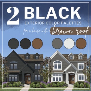 BLACK Exterior Paint Color Combinations - Modern Farmhouse - Custom House Palettes - Color Consultation - Exterior Palette - Brown Roof