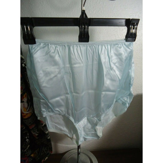 Vintage Carole Women Nylon Granny Panties Sheer Briefs Blue USA