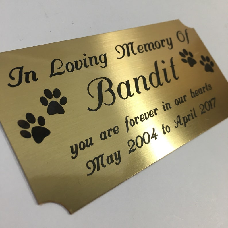 Pet Memorial Engraved Solid Brass Urn Plate paw Prints Etsy