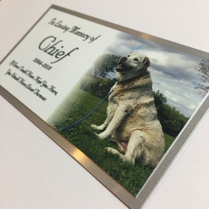 Pet Memorial Engraved Plate Personalized White on Silver with Etsy