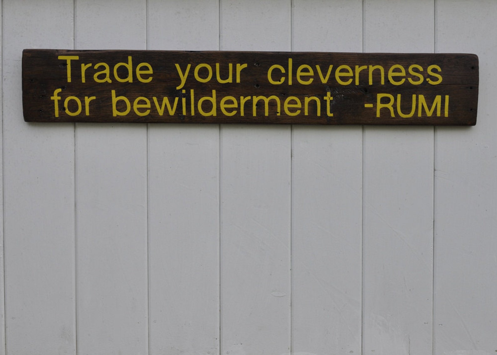 Trade Your Cleverness for Bewilderment Hand Painted Sign Etsy