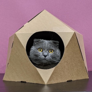 Casa de cartón ecológica para gatos: cama moderna para gatos, muebles elegantes para gatos, escondite duradero para gatos, regalo único para gatos