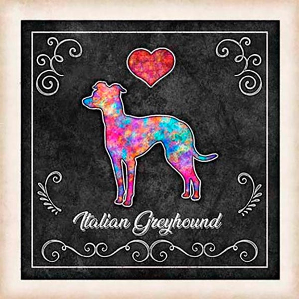 Italian Greyhound Dog Chalk Art Mounted Print by Dan Morris, Personalize, Add name, In memory of dog, Ready to Hang artwork, great gift item