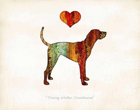 Treeing walker store coonhound colors
